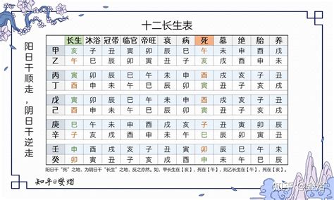 八字長生意思|八字之十二長生表詳解